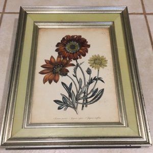 1840 Antique Botanical Rusty Red Print Framed by Jane Loudon Hand Colored